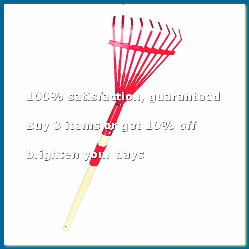 Children'S Rake with Hardwood  - Gardening Tools For 3 Year Old ulasan dan harga