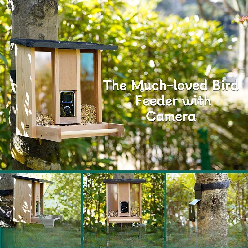 AI intelligent bird feeder wit - Gardening Tools Definition ulasan dan harga