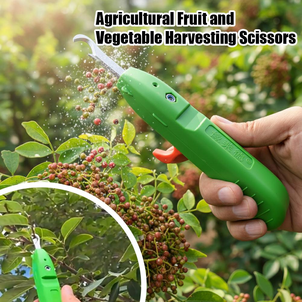 Fruit And Vegetable Picking Sh - Gardening Tools Basic ulasan dan harga