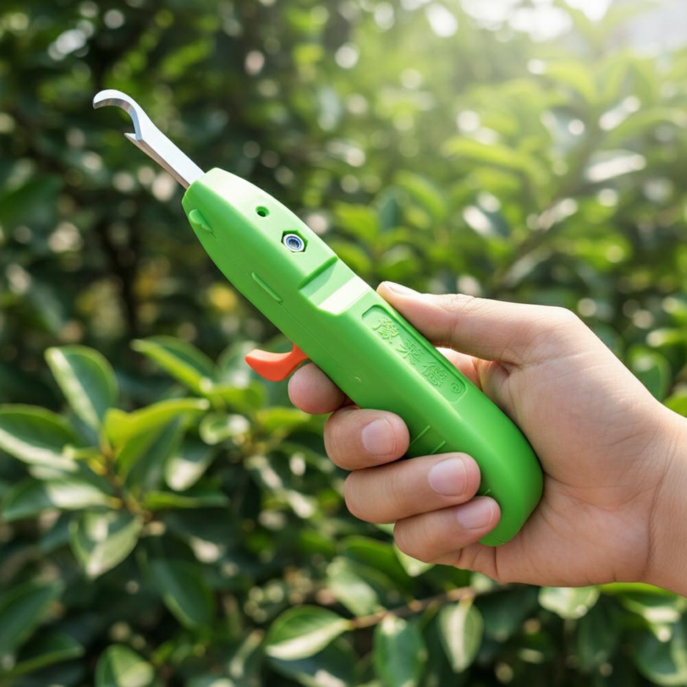 Fruit And Vegetable Picking Sh - Gardening Tools Basic ulasan dan harga