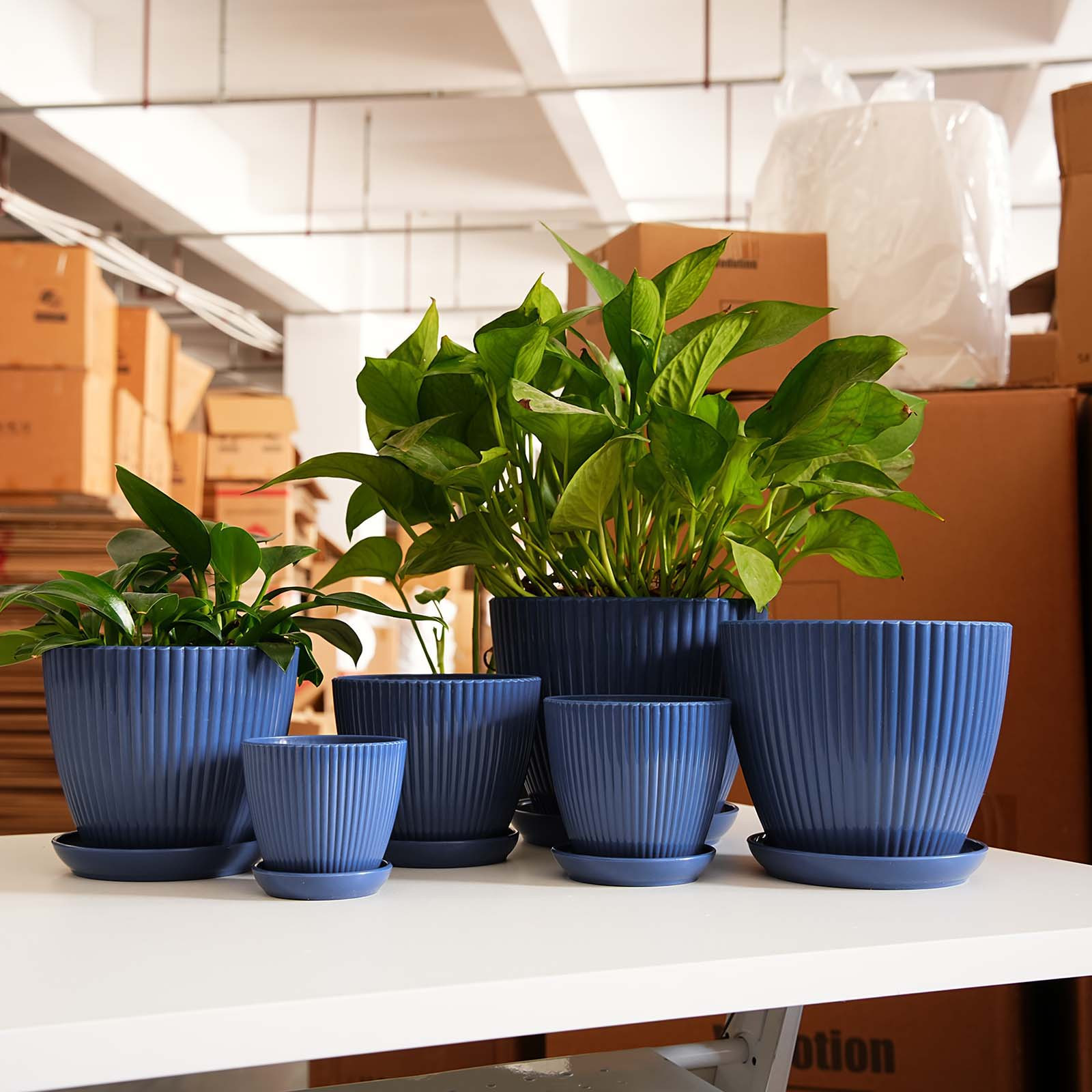 Vertical Striped Thickened Pla - Vertical Wall Planter ulasan dan harga