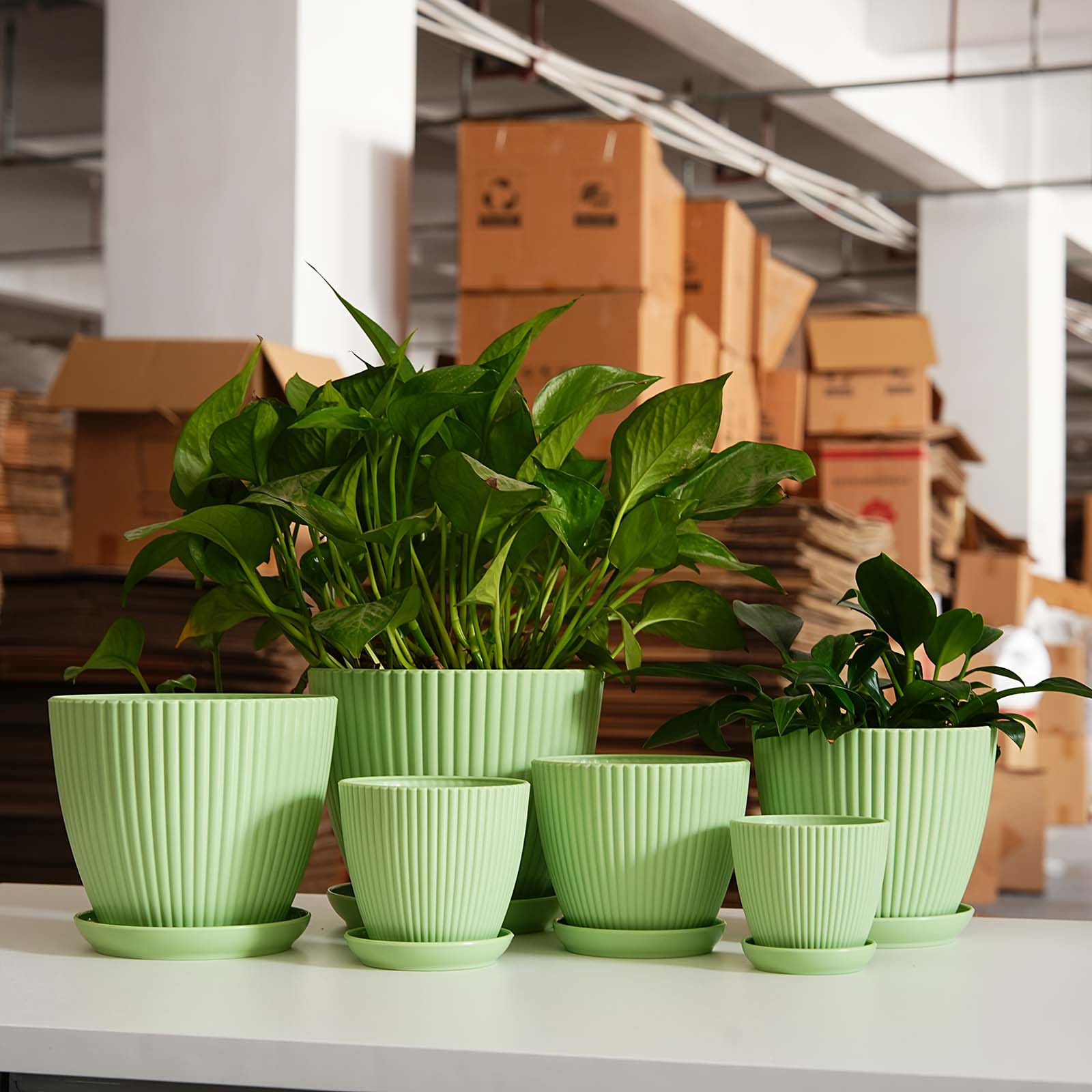 Vertical Striped Thickened Pla - Vertical Wall Planter ulasan dan harga