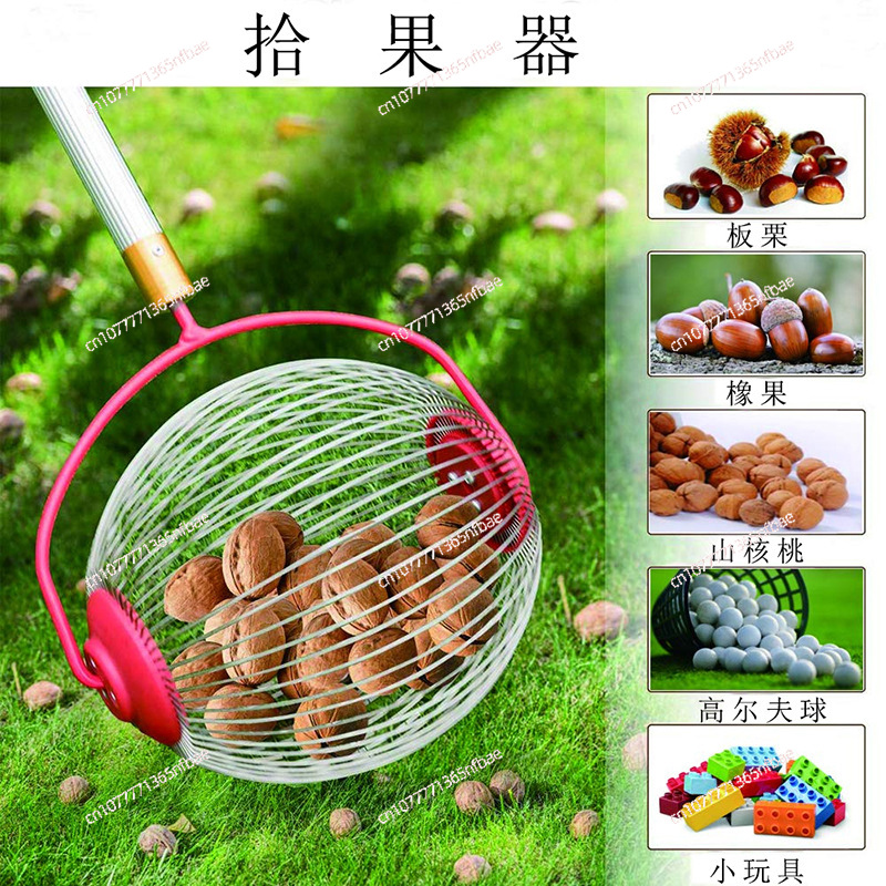 Amazon, Fruit Collector, Nut C - Gardening Tools Amazon ulasan dan harga