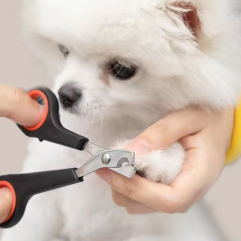 Pet Nail Dog Nail Clippers Sci - Essential Gardening Tools ulasan dan harga