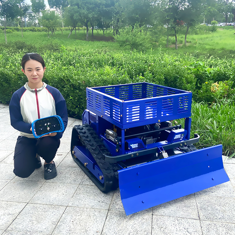 Customized Remote Control Lawn - Gardening Tools China ulasan dan harga