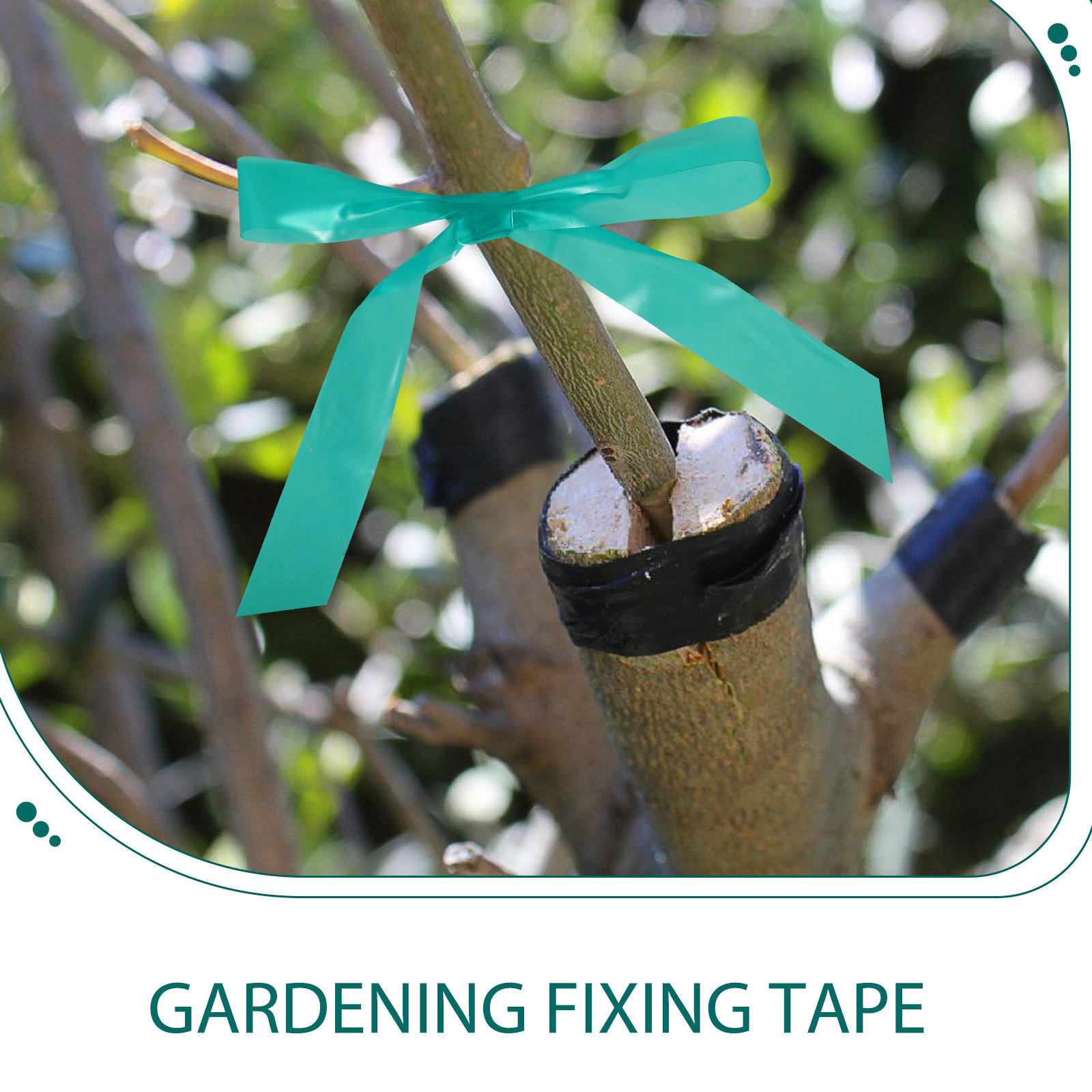 2pcs 2 Rolls Stretchable Graft - Grafting Tape ulasan dan harga