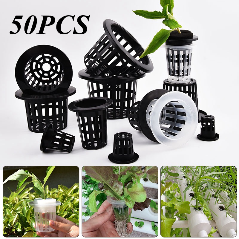 50Pcs Black White Soilless Mes - Vertical Wall Planter ulasan dan harga