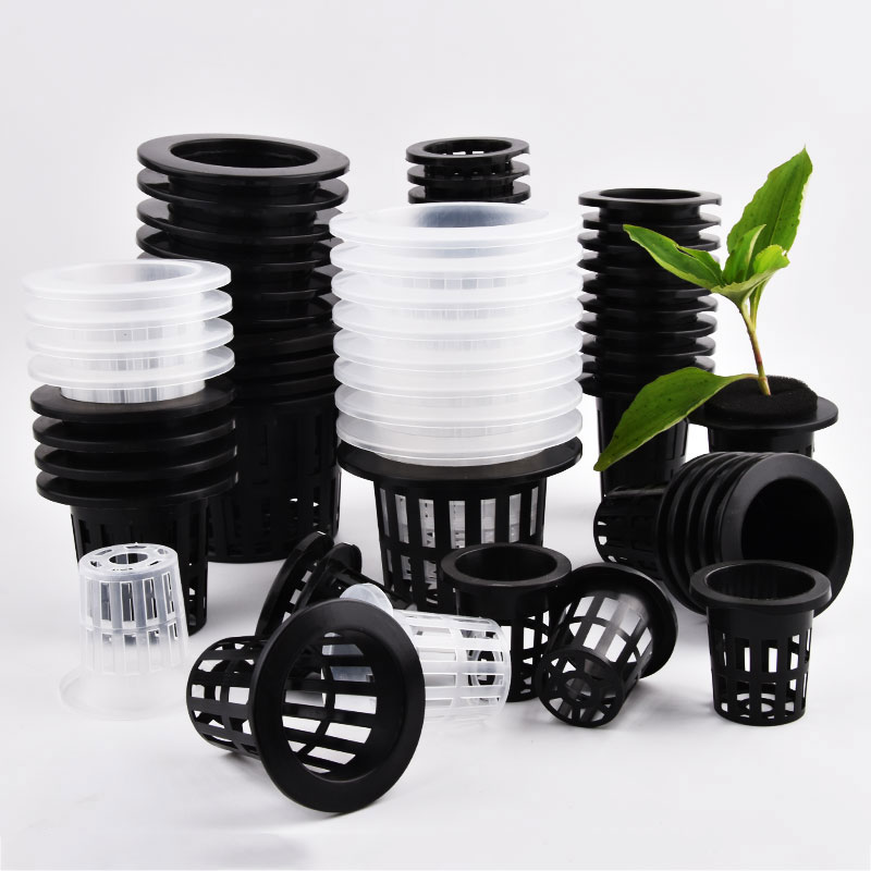 50Pcs Black White Soilless Mes - Vertical Wall Planter ulasan dan harga