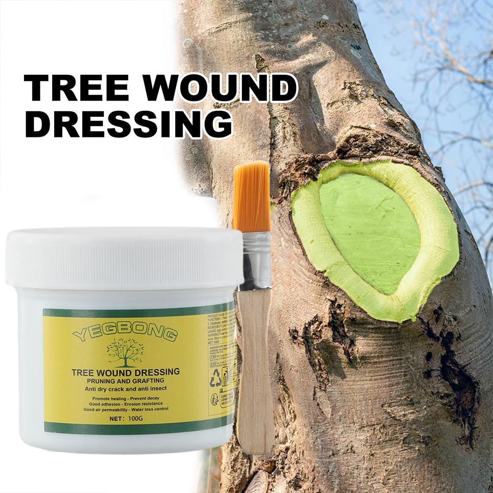 100g Tree Grafting Paste Tree  - Grafting Tape ulasan dan harga
