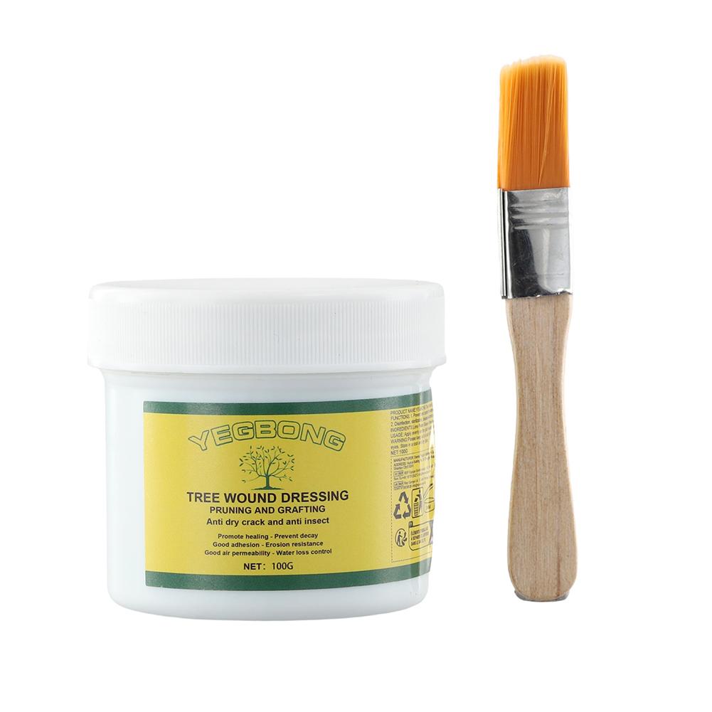 100g Tree Grafting Paste Tree  - Grafting Tape ulasan dan harga
