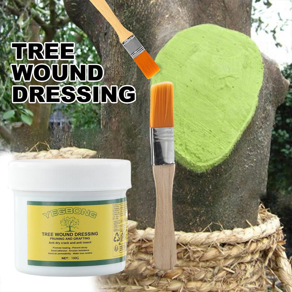 100g Tree Grafting Paste Tree  - Grafting Tape ulasan dan harga