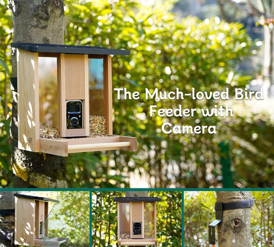 AI intelligent bird feeder wit - Gardening Tools Definition ulasan dan harga