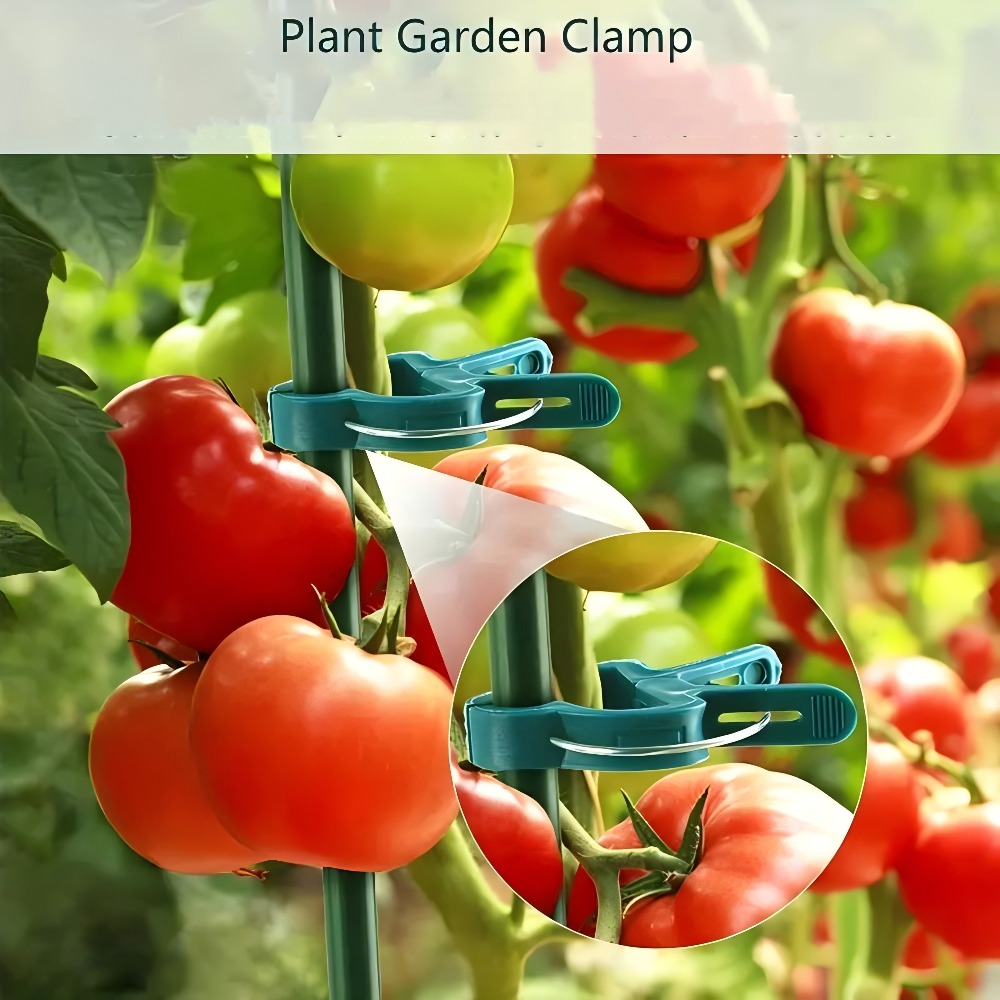 10/30/50pcs Adjustable Plant C - Essential Gardening Tools ulasan dan harga