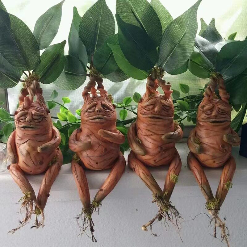 Mandrake Mandrake Resin Orname - Gardening Tools Amazon ulasan dan harga