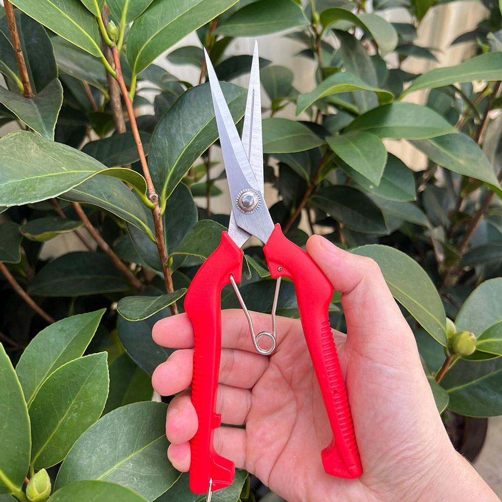 Pro Garden Pruning Shears Leng - Gardening Tools Basic ulasan dan harga
