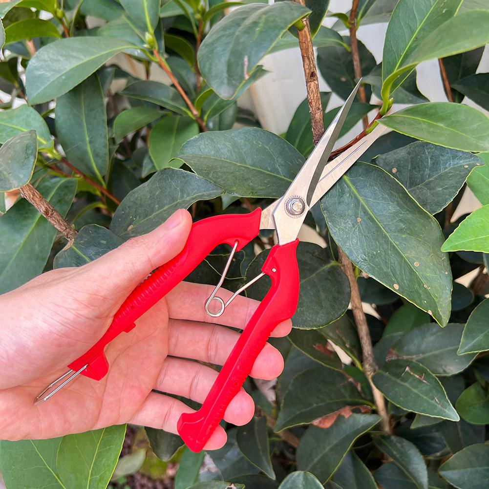 Pro Garden Pruning Shears Leng - Gardening Tools Basic ulasan dan harga