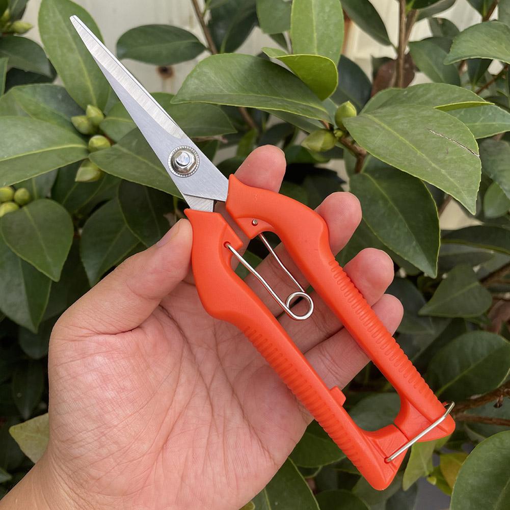 Pro Garden Pruning Shears Leng - Gardening Tools Basic ulasan dan harga
