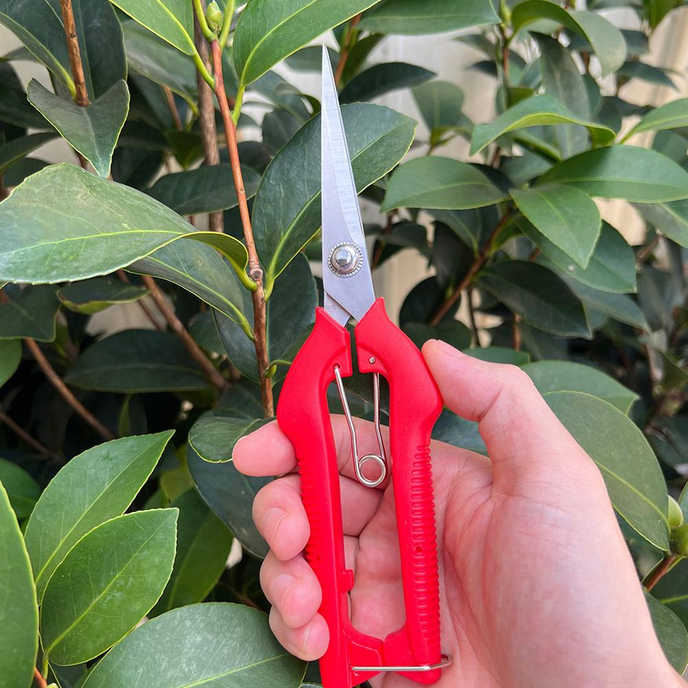 Pro Garden Pruning Shears Leng - Gardening Tools Basic ulasan dan harga